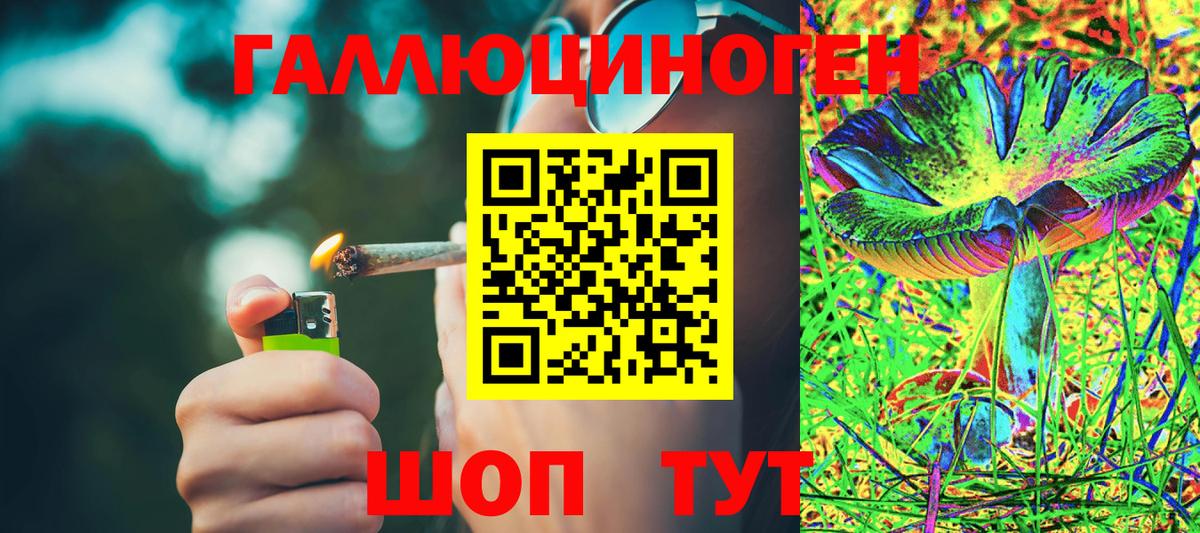 даркнет сайт  Псилоцибиновые грибы GOLDEN TEACHER  Вход с VPN  Галлюциногенные грибы прущие грибы  Знаменск 